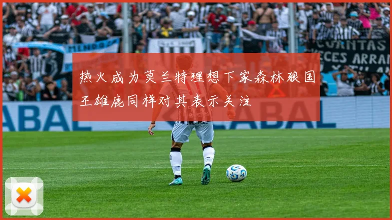 热火成为莫兰特理想下家森林狼国王雄鹿同样对其表示关注